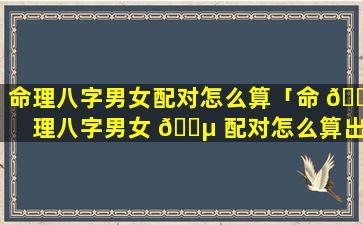 命理八字男女配对怎么算「命 🌸 理八字男女 🐵 配对怎么算出来的」